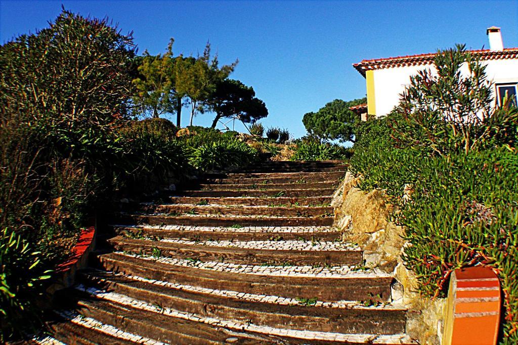 Quinta Da Torre - Obidos Country House Bagian luar foto