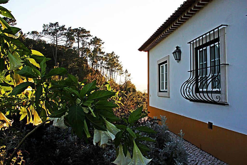 Quinta Da Torre - Obidos Country House Bagian luar foto