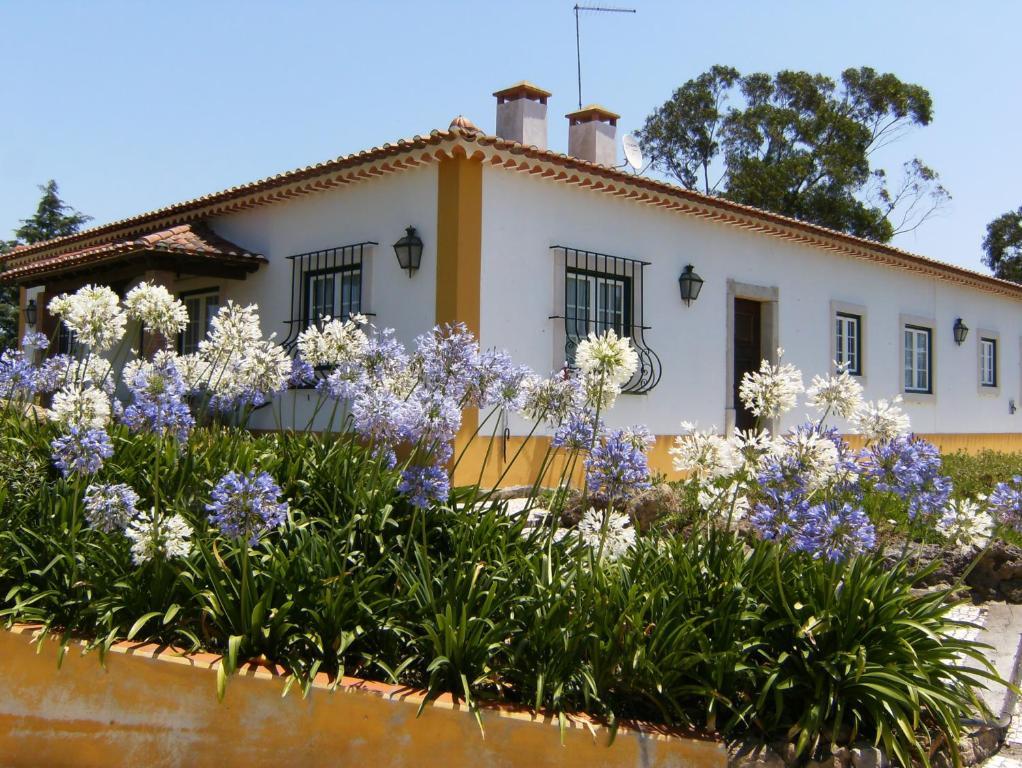 Quinta Da Torre - Obidos Country House Bagian luar foto
