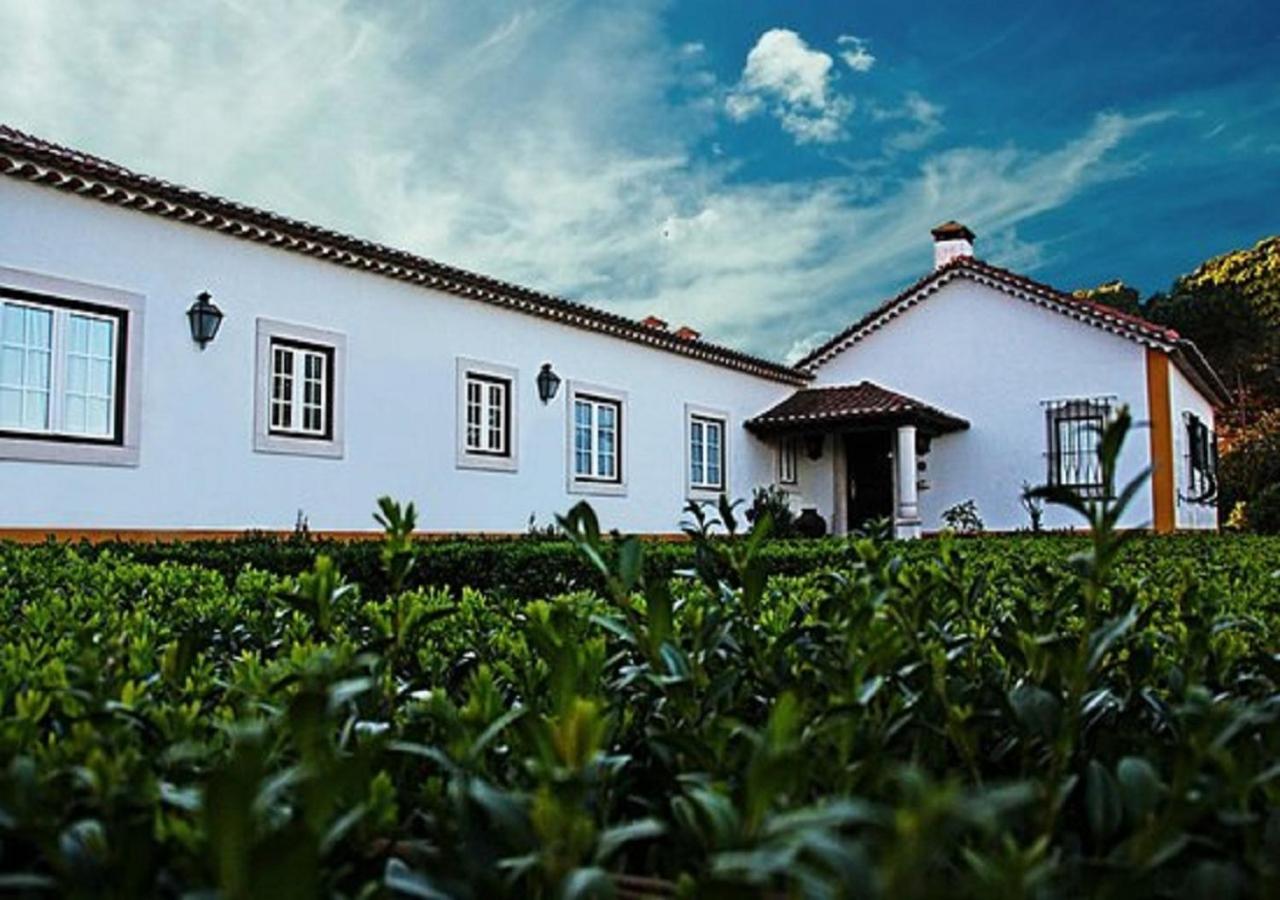 Quinta Da Torre - Obidos Country House Bagian luar foto
